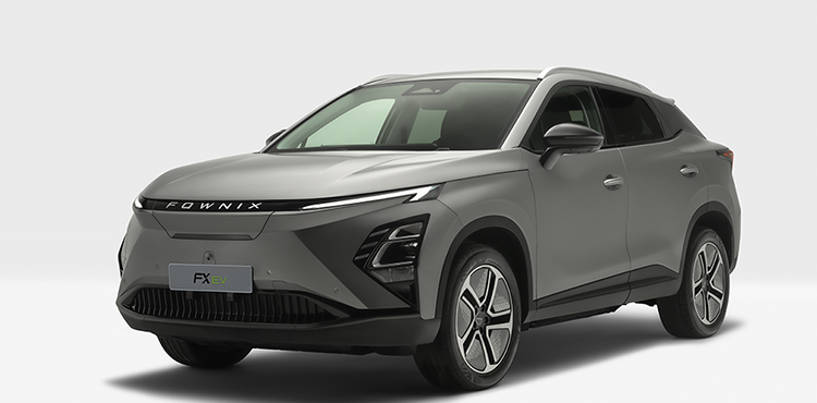 سرویس سیستم کولینگ EV در فونیکس FX EV